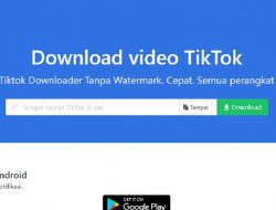 SnapTik.App Download Video TikTok Tanpa Watermark