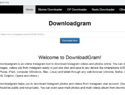 Cara Download Story IG dengan Downloadgram