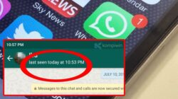Cara Menonaktifkan Last Seen WhatsApp